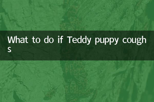 টেডি কুকুরছানা কাশি হলে কি করবেন