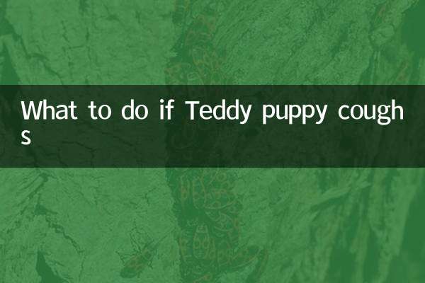 টেডি কুকুরছানা কাশি হলে কি করবেন