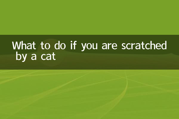 अगर आपको बिल्ली खरोंच दे तो क्या करें?