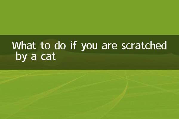 猫にひっかかれた場合の対処法