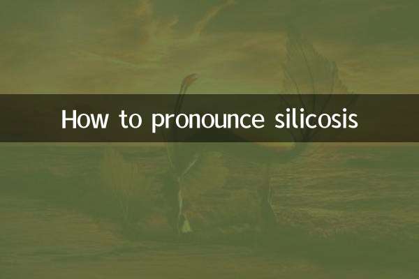 silicosis の発音の仕方