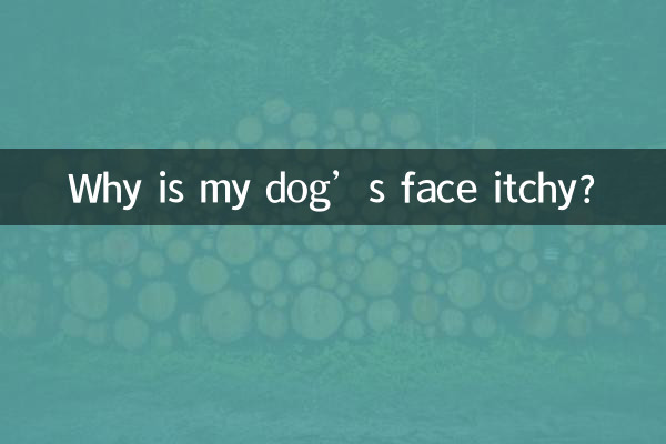 چرا صورت سگ من خارش دارد؟