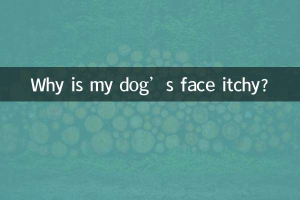 狗狗臉癢癢怎麼回事