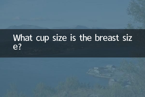 ما حجم الكوب هو حجم الثدي؟