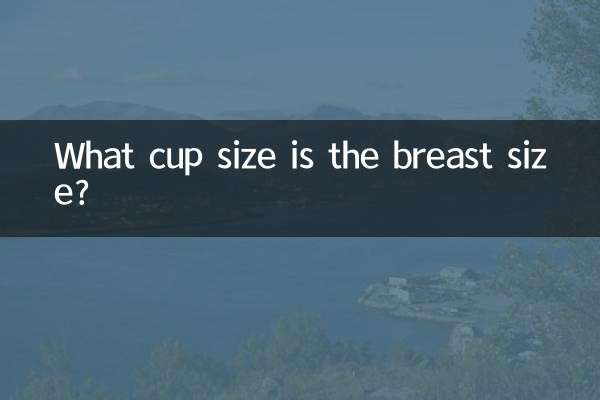 胸的大小是什么罩杯