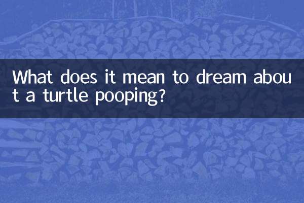 Que signifie rêver d'une tortue qui fait caca ?