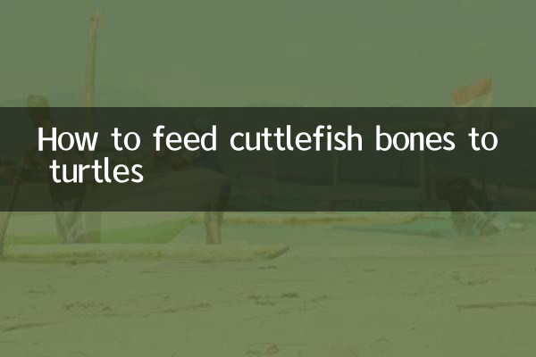 कछुओं को कटलफिश की हड्डियाँ कैसे खिलाएँ