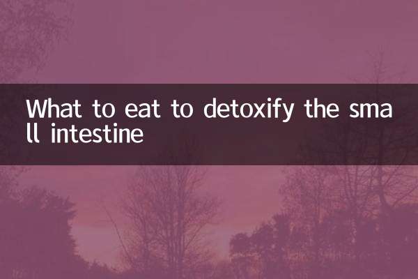 Qué comer para desintoxicar el intestino delgado