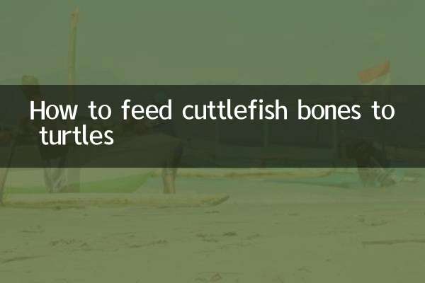 कछुओं को कटलफिश की हड्डियाँ कैसे खिलाएँ