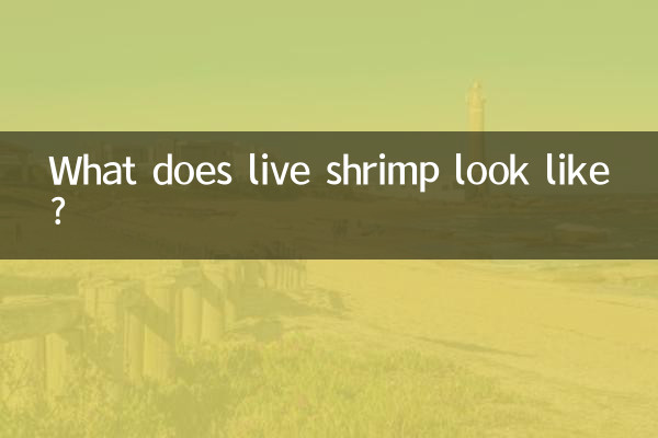जीवित झींगा कैसा दिखता है?