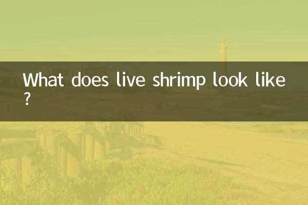 লাইভ চিংড়ি দেখতে কেমন?