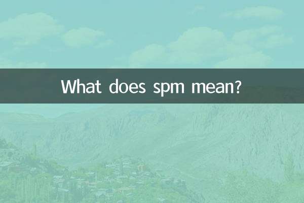 spm মানে কি?