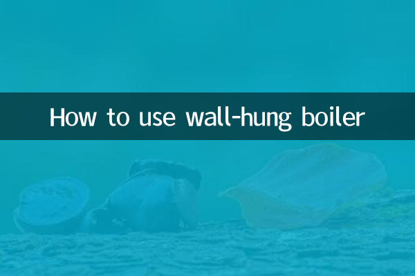 ওয়াল-হ্যাং বয়লার কীভাবে ব্যবহার করবেন