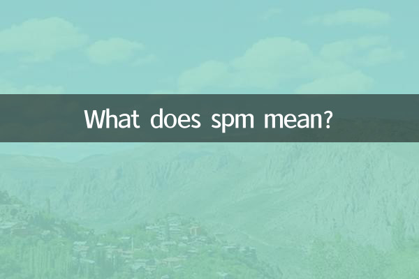 spm মানে কি?