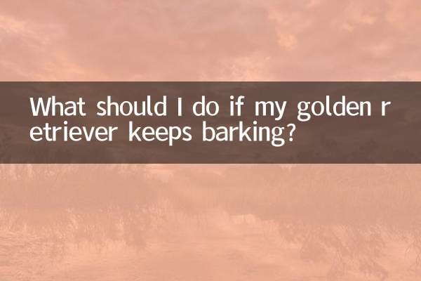 골든 리트리버가 계속 짖는다면 어떻게 해야 하나요?