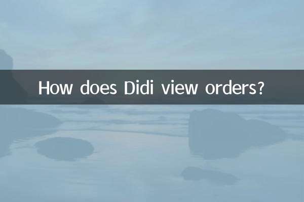 দিদি অর্ডার কিভাবে দেখে?