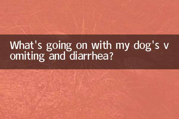 狗狗上吐下泻怎么回事