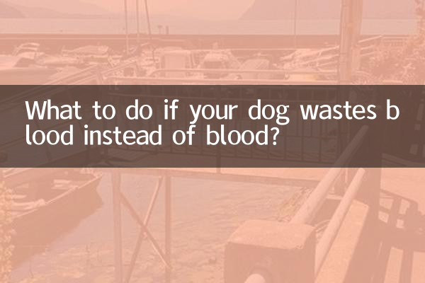 狗狗垃稀代血怎麼辦