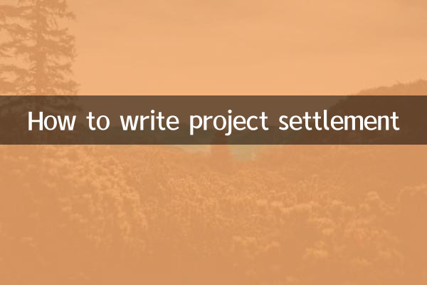 How to write project settlement