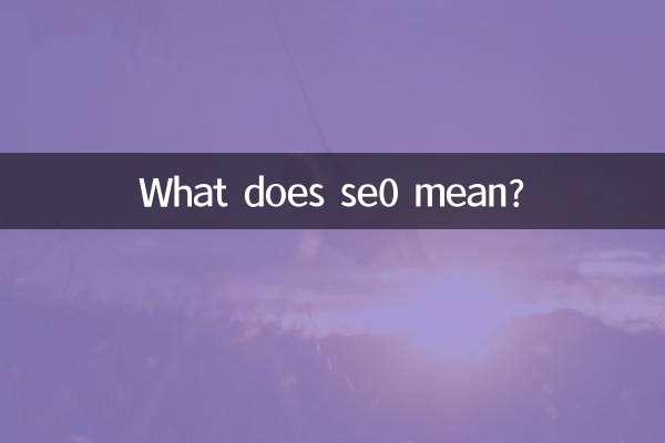 What does se0 mean?