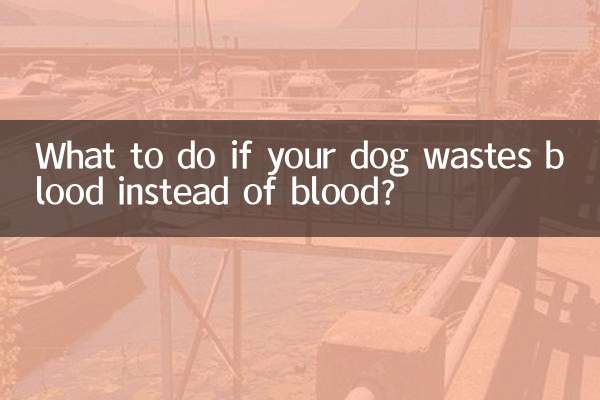 狗狗垃稀代血怎麼辦