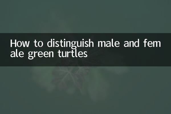 How to distinguish male and female green turtles