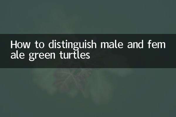 How to distinguish male and female green turtles