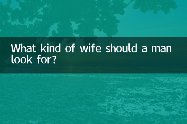 Che tipo di moglie dovrebbe cercare un uomo?