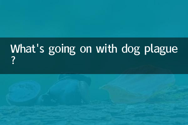 ¿Qué está pasando con la peste canina?