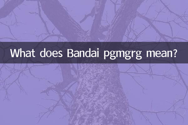 What does Bandai pgmgrg mean?