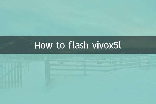 vivox5L을 플래시하는 방법
