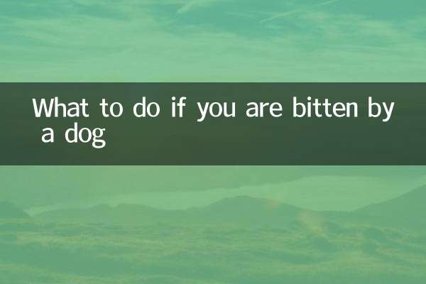 Was tun, wenn Sie von einem Hund gebissen werden