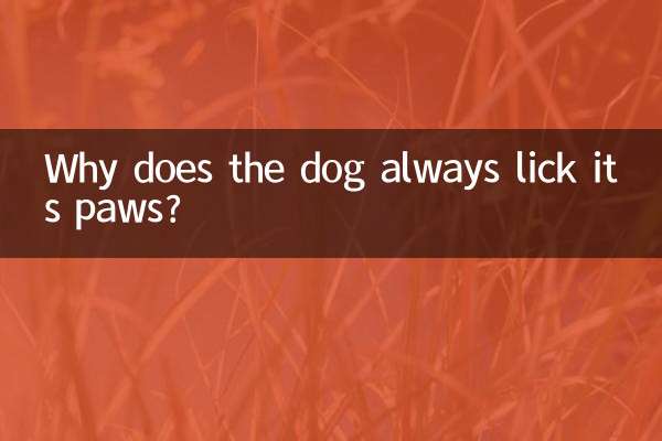 なぜ犬はいつも足をなめるのですか?