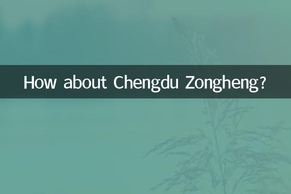 Que tal Chengdu Zongheng?