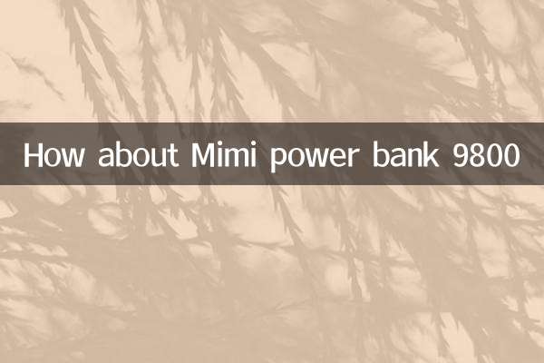 Que diriez-vous de la banque d'alimentation Mimi 9800