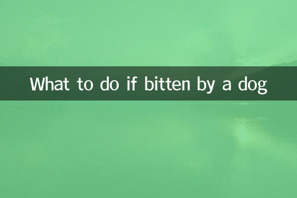 给狗咬到了怎么办