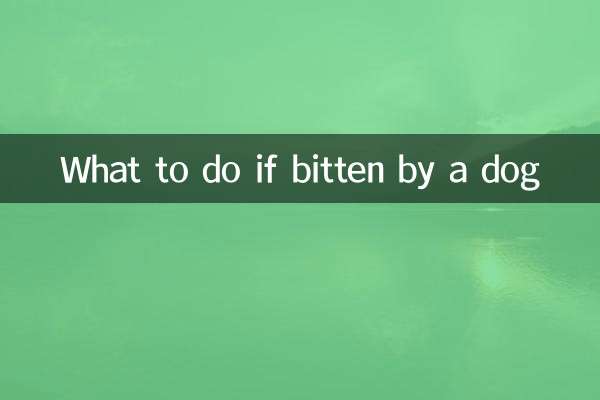 কুকুর কামড়ালে কি করবেন