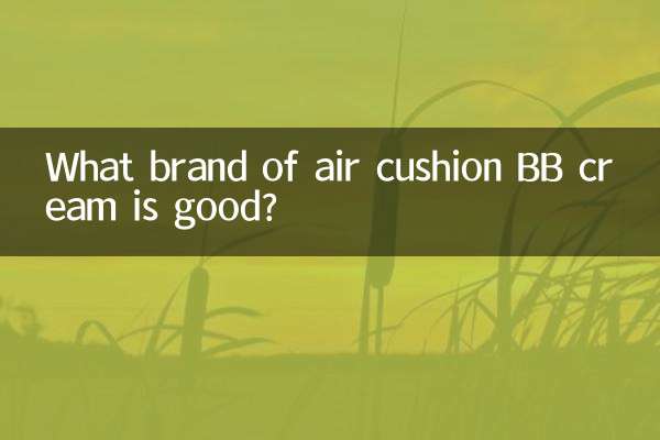 Quelle marque de BB crème à coussin d’air est bonne ?