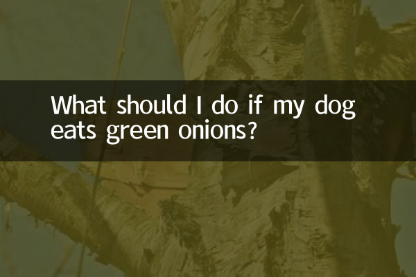 What should I do if my dog eats green onions?