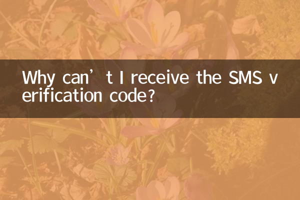 কেন আমি এসএমএস যাচাইকরণ কোড পেতে পারি না?