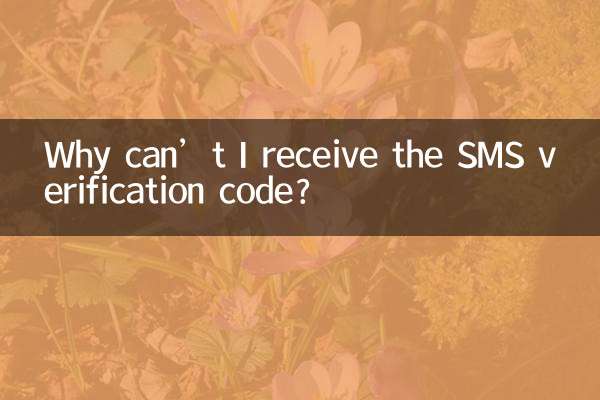 Why can’t I receive the SMS verification code?