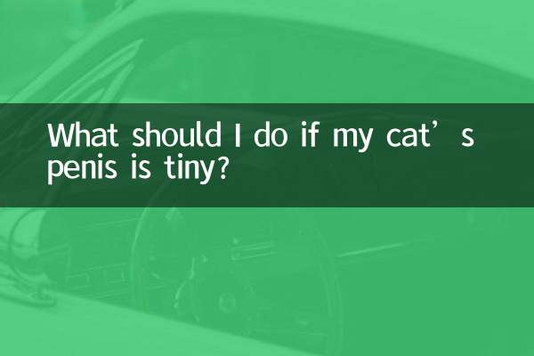 ماذا علي أن أفعل إذا كان قضيب قطتي صغيرًا؟