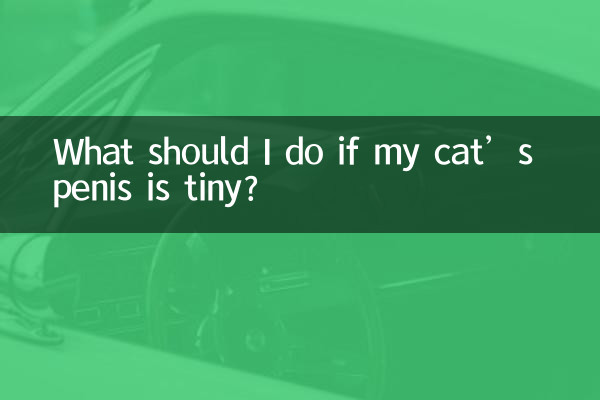 ماذا علي أن أفعل إذا كان قضيب قطتي صغيرًا؟