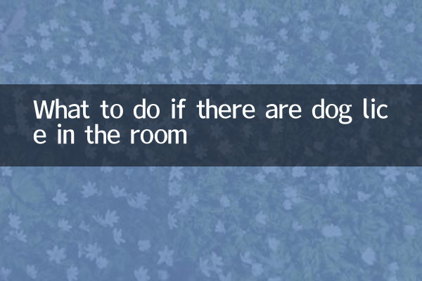 اگر کمرے میں کتے کی جوؤں ہوں تو کیا کریں
