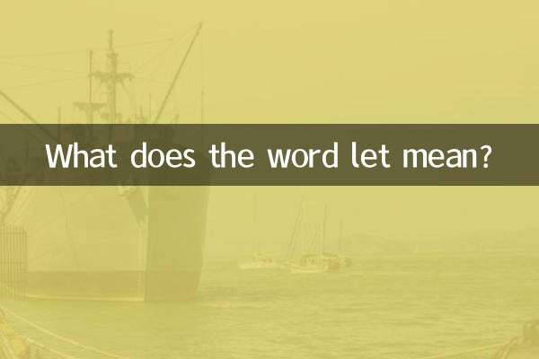 하자라는 단어는 무엇을 의미합니까?