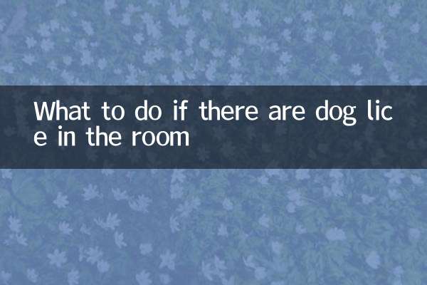 اگر کمرے میں کتے کی جوؤں ہوں تو کیا کریں