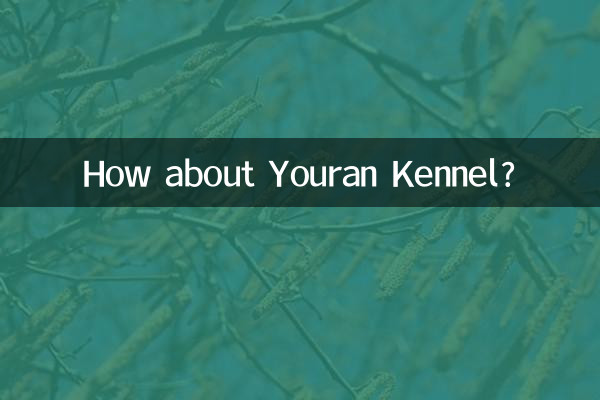 ইউরান কেনেল সম্পর্কে কেমন?