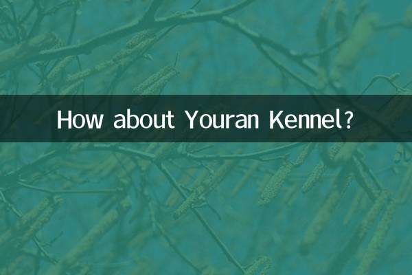 Que tal o Canil Youran?