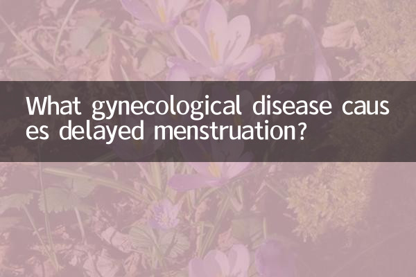 Какое гинекологическое заболевание вызывает задержку менструации?