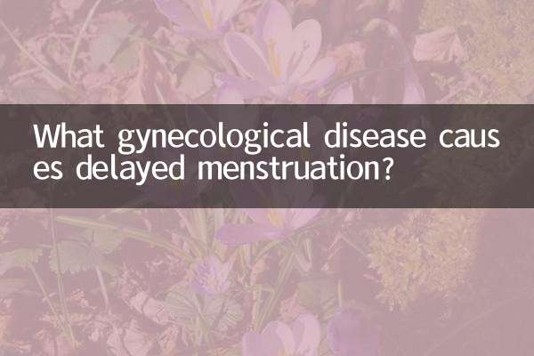কোন স্ত্রীরোগজনিত রোগের কারণে মাসিক বিলম্বিত হয়?